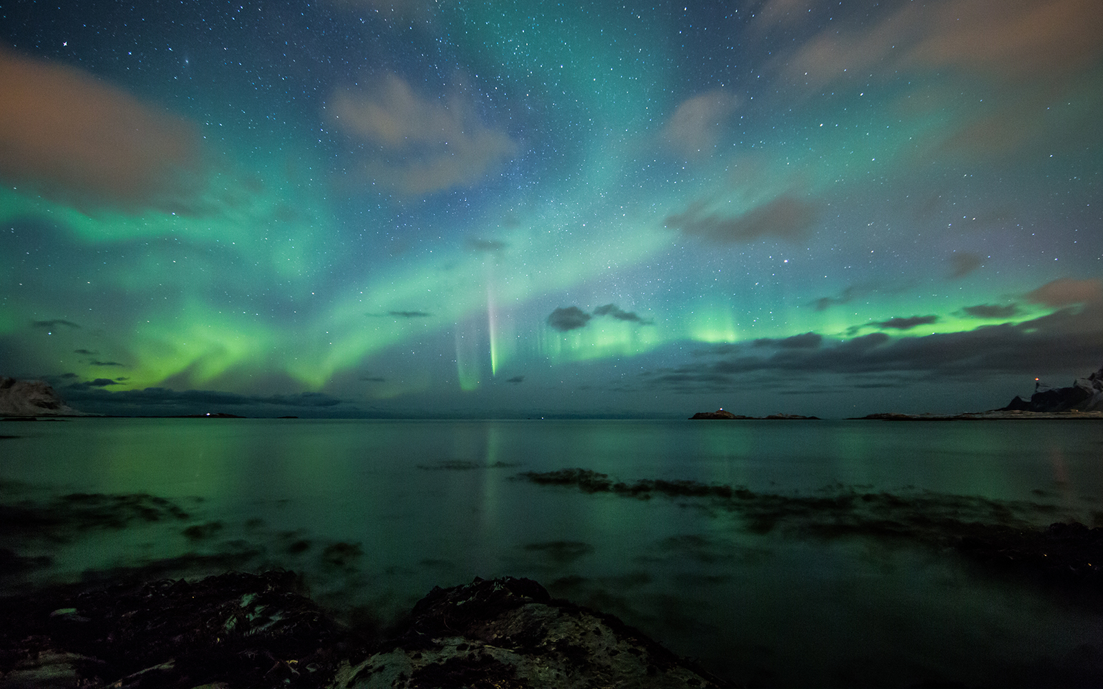 Telegrafbukta Beach northern lights