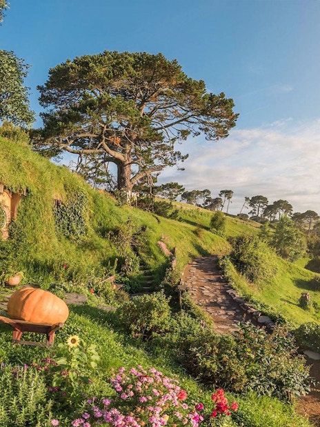 Hobbiton Movie Set with round door and lush greenery, part of Auckland tour.
