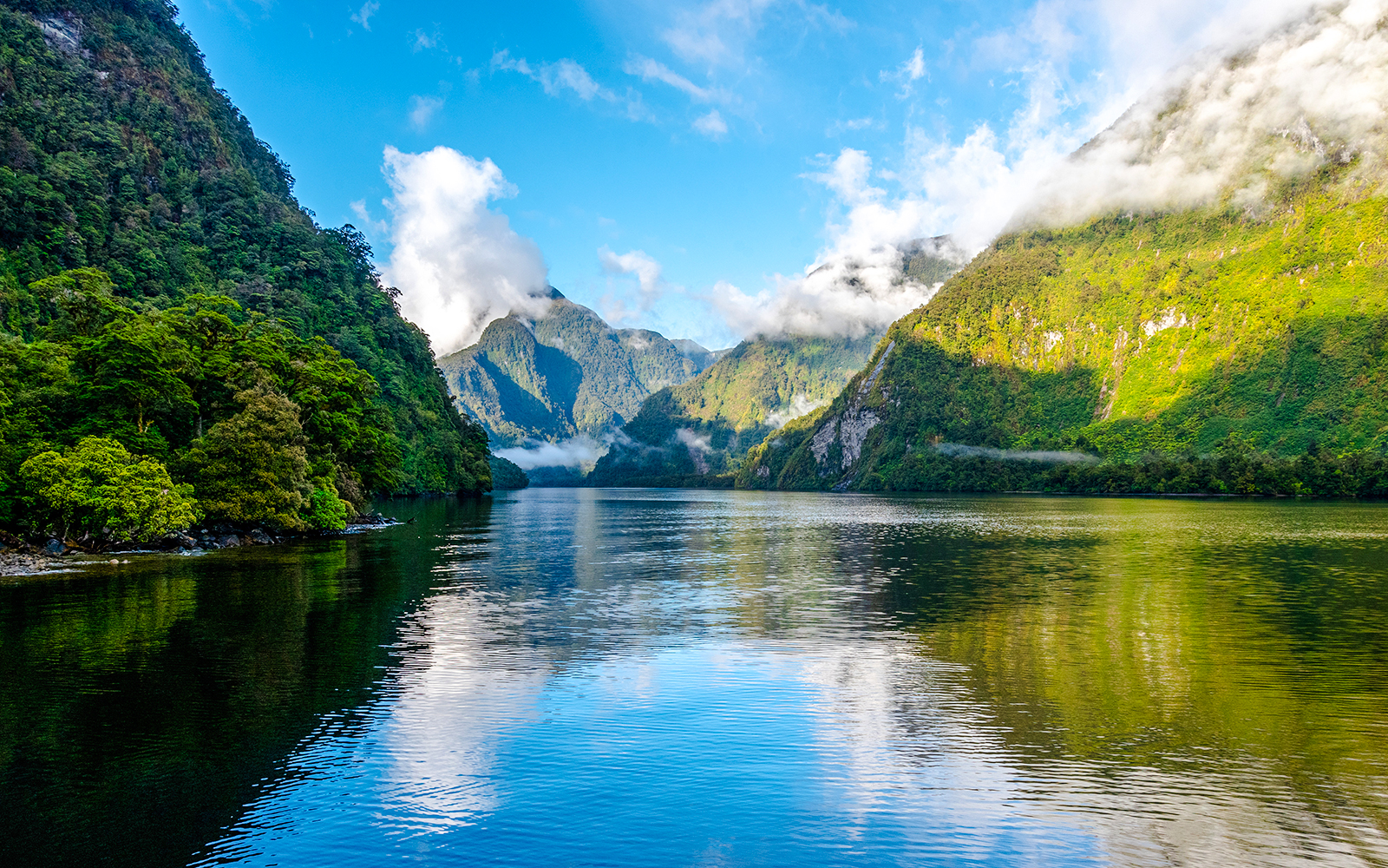 Doubtful Sound'da Şafak