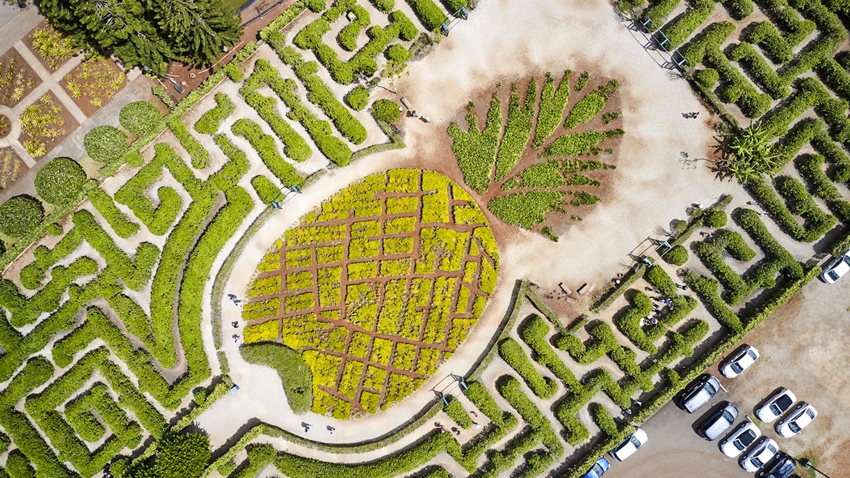 Aerial view of the pineapple-shaped garden maze at Dole Plantation, Hawaii.