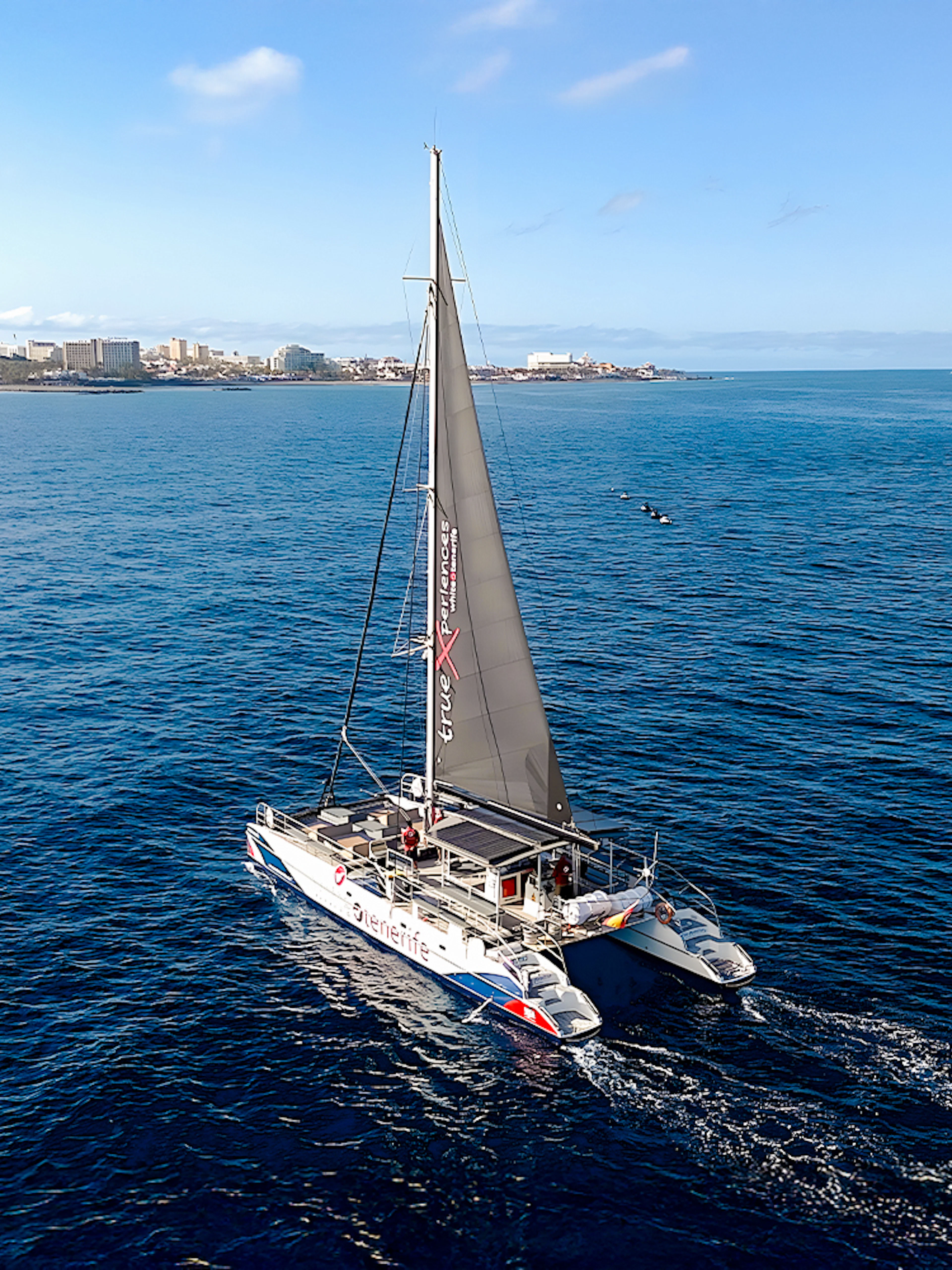 Catamaran sailing on the ocean near a coastal city, ideal for whale and dolphin watching cruise.