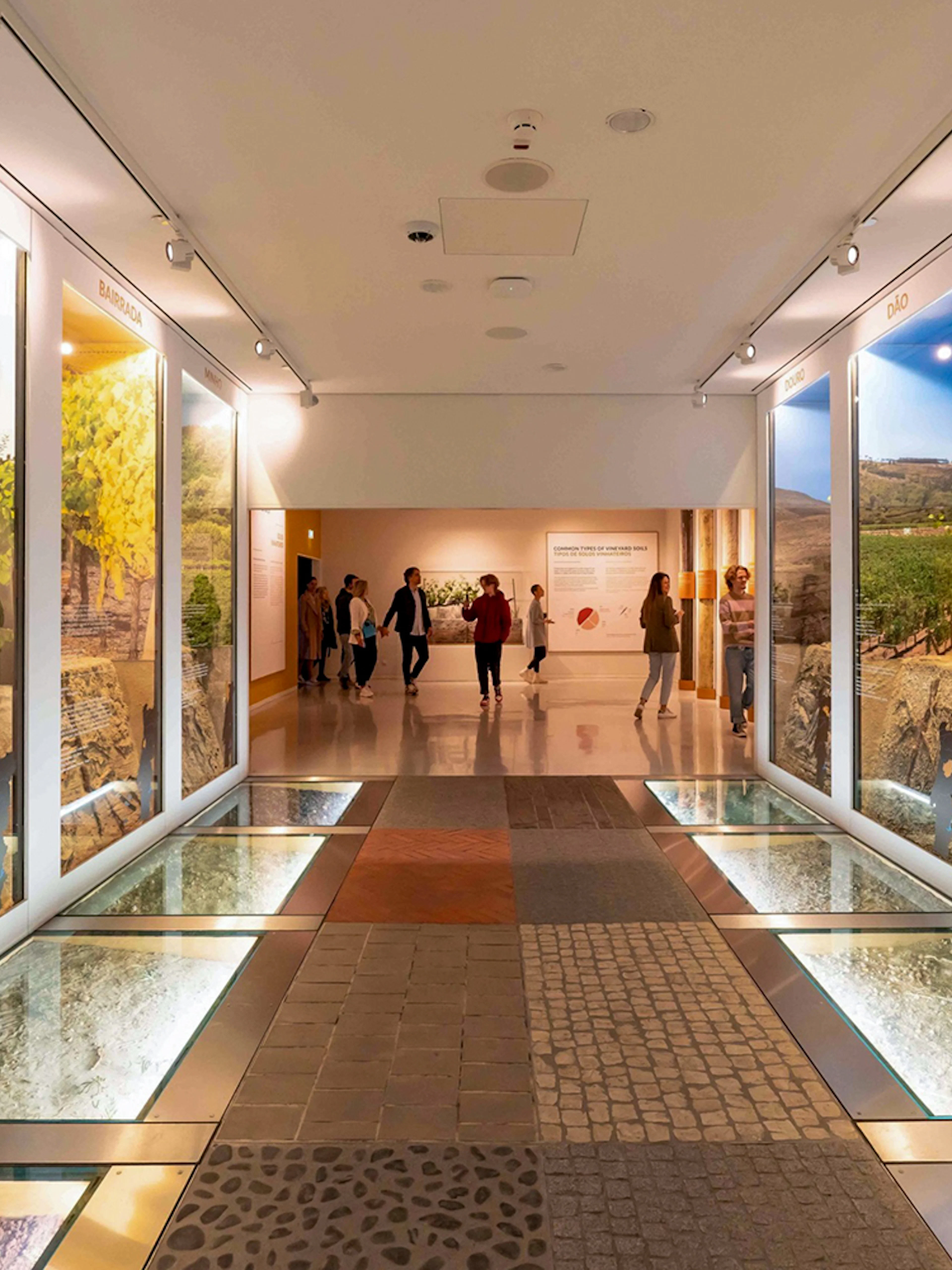 Visitors exploring Taylor's Port Cellars exhibition in Porto.