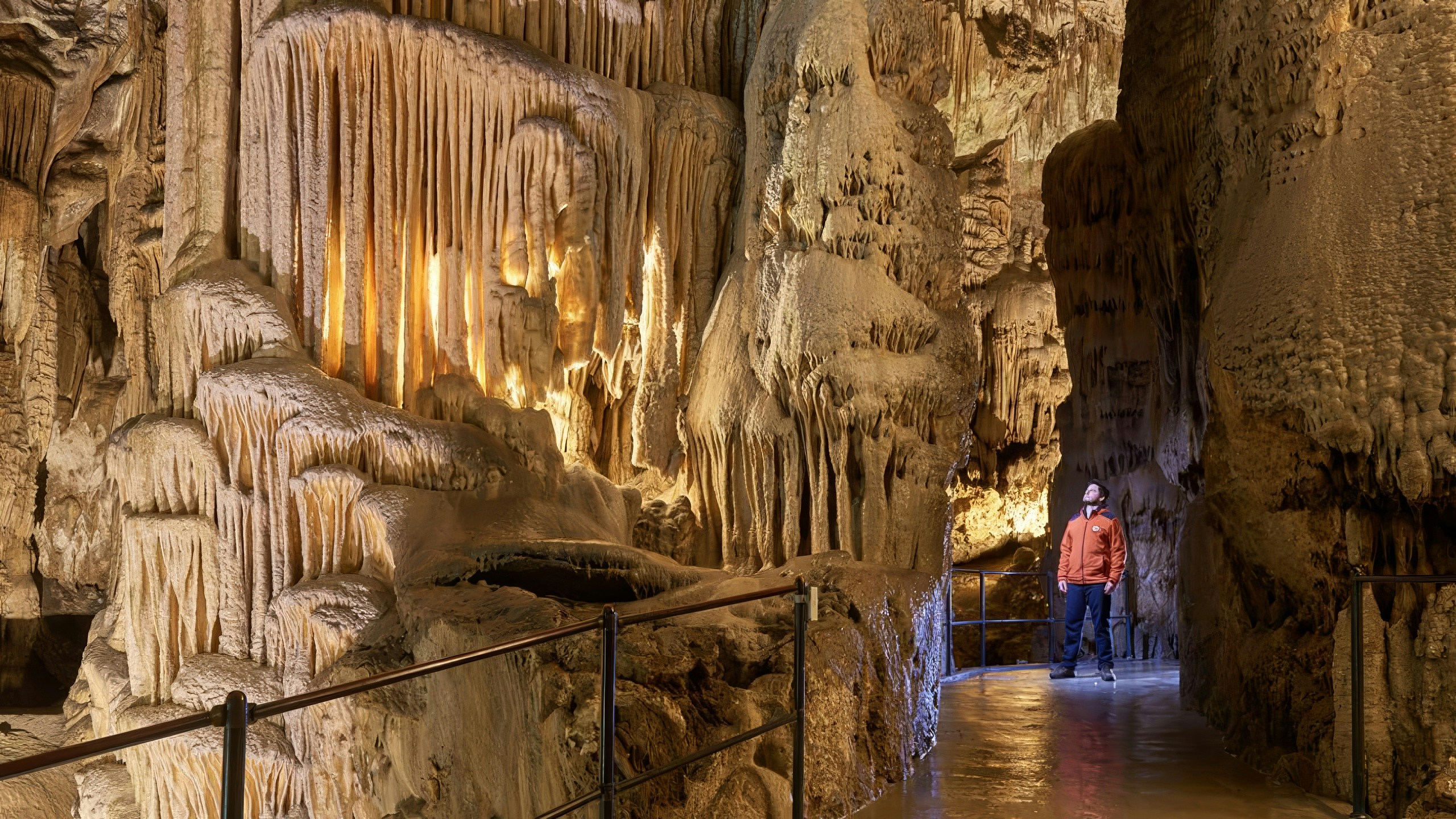 Guests walking through illuminated stalactites in Postojna Cave tour.