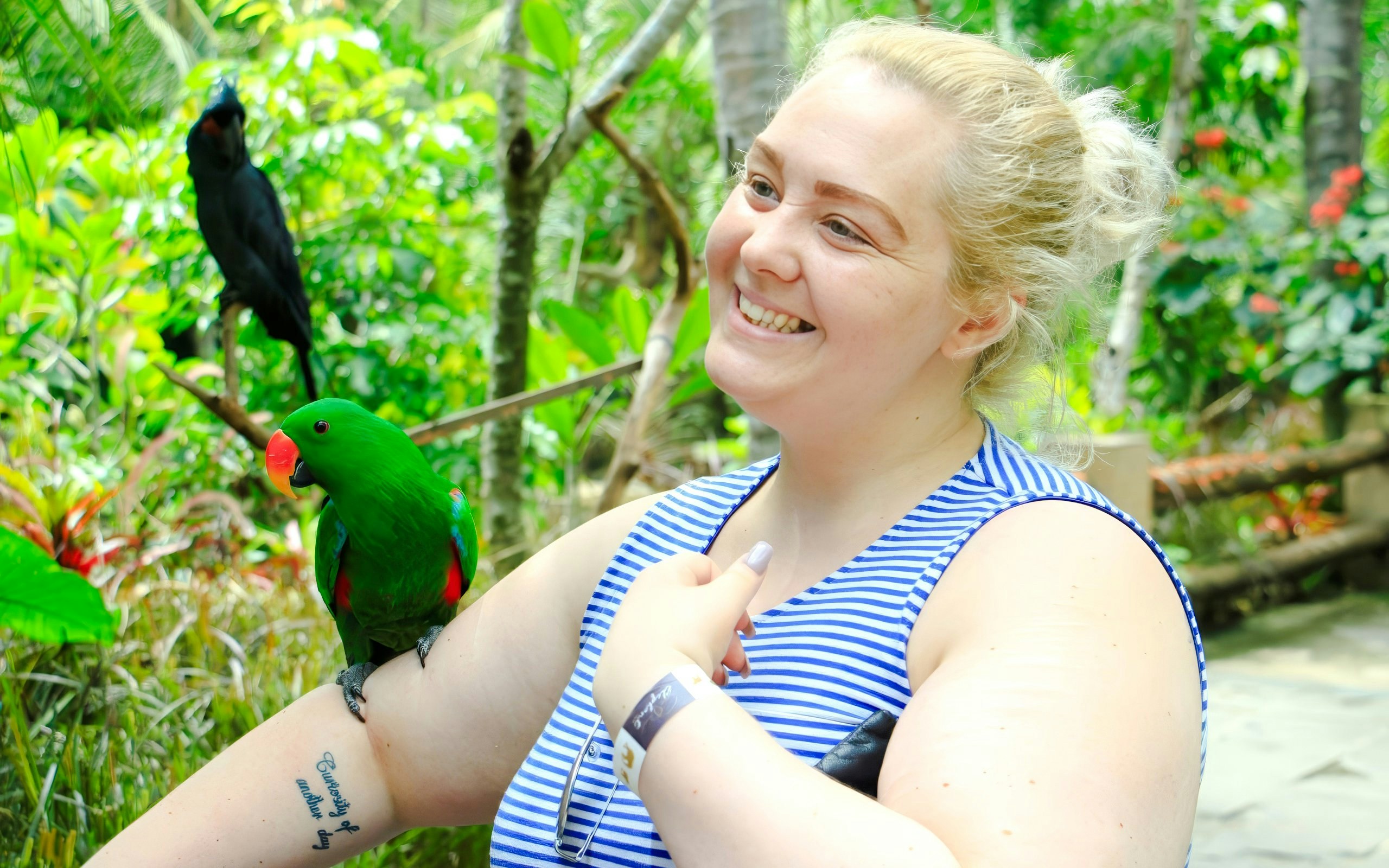 Tourist interacting with a parrot at Lombok Wildlife Park.