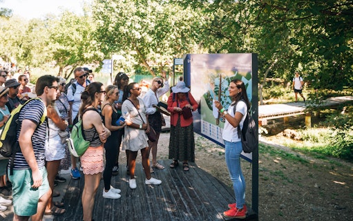 Tour group listening to a guide at Krka National Park during a Split wine tasting trip.