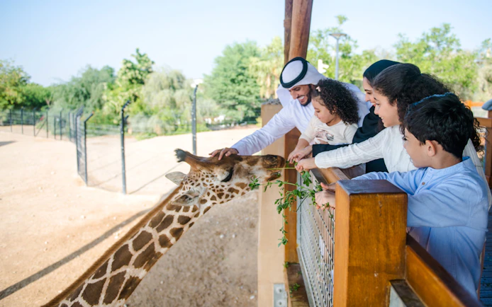 Visitors feeding a giraffe at Al Ain Zoo.