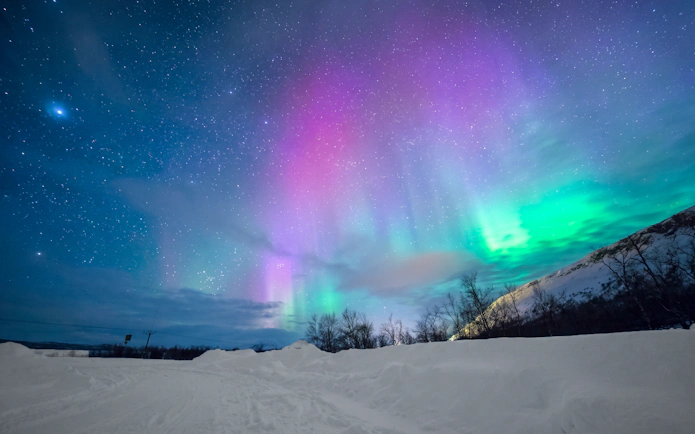 Northern lights over snowy landscape in Rovaniemi with starry sky.