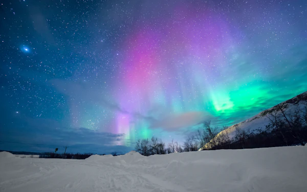 Rovaniemi: Northern Lights Wilderness Photography Tour with Expert Guide