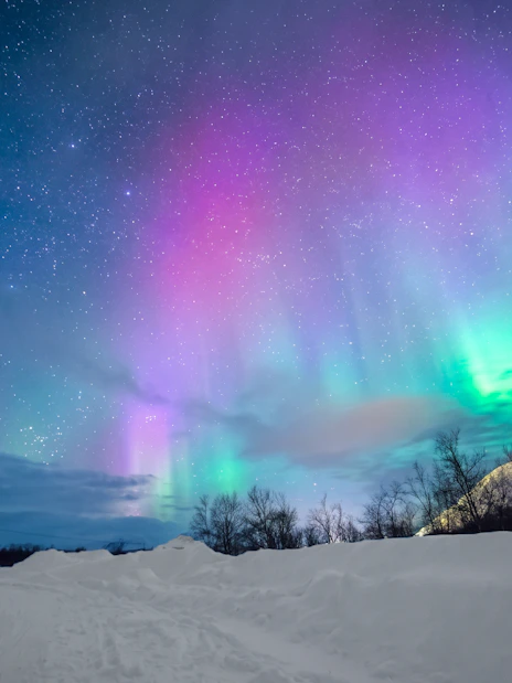 Northern lights over snowy landscape in Rovaniemi with starry sky.