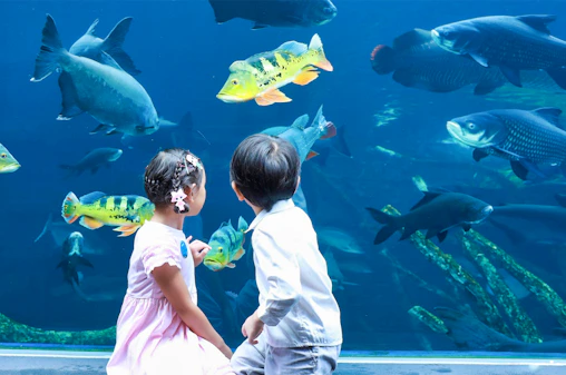 Aquaria Phuket Tickets