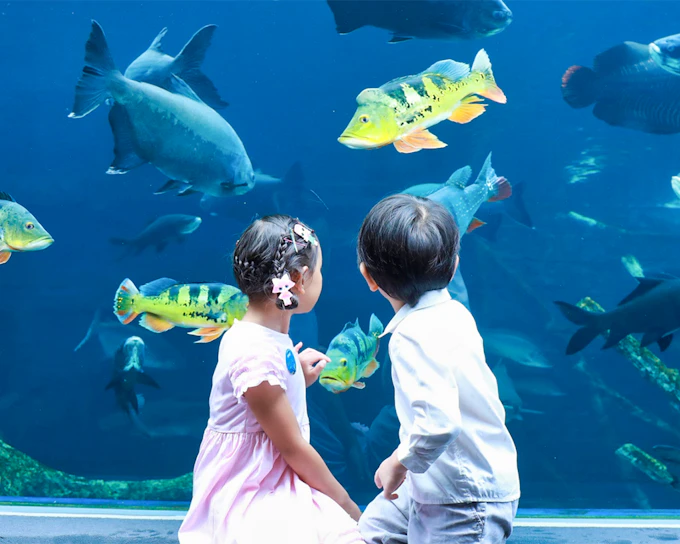 Aquaria Phuket Tickets: Non-Thai Residents