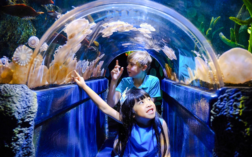 Children exploring jellyfish tunnel at SEA LIFE Melbourne's Ocean Invaders exhibit.
