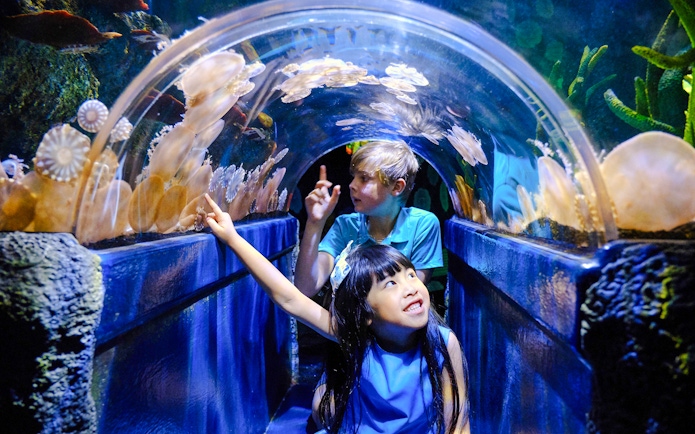 Children exploring jellyfish tunnel at SEA LIFE Melbourne's Ocean Invaders exhibit.