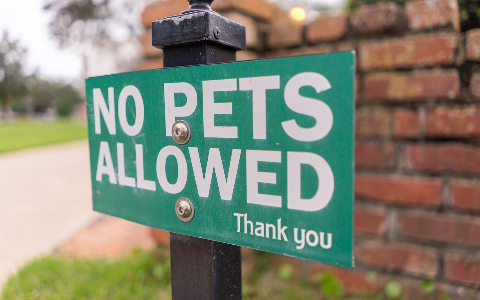 Museum of Illusions Madrid