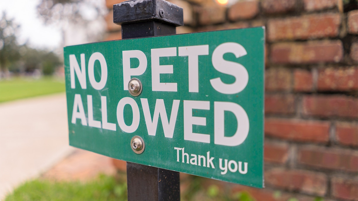 Museum of Illusions Madrid