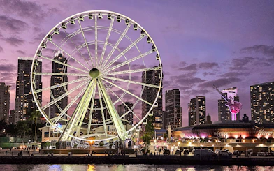 Miami skyline with Ferris wheel and cityscape at dusk, viewed from a luxury yacht cruise.
