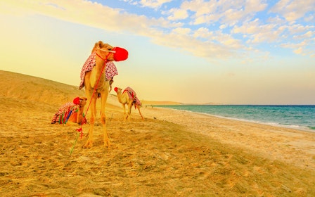 Premium Doha Desert Safari with Dune Bashing, Sandboarding, Camel Ride, Quad Biking & Inland Sea