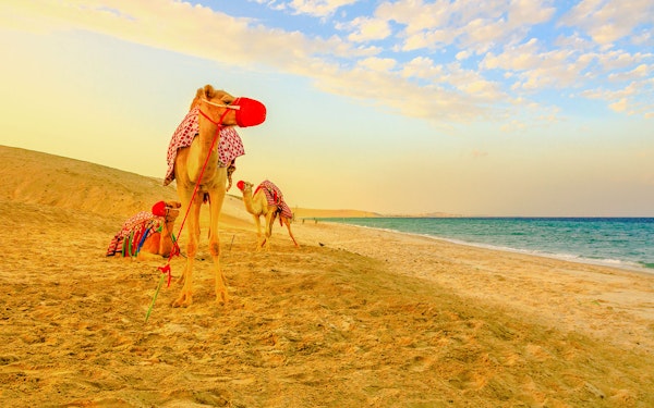 Premium Doha Desert Safari with Dune Bashing, Sandboarding, Camel Ride, Quad Biking & Inland Sea