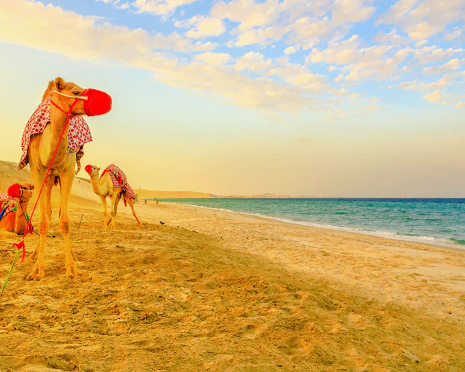 Premium Doha Desert Safari with Dune Bashing, Sandboarding, Camel Ride, Quad Biking & Inland Sea
