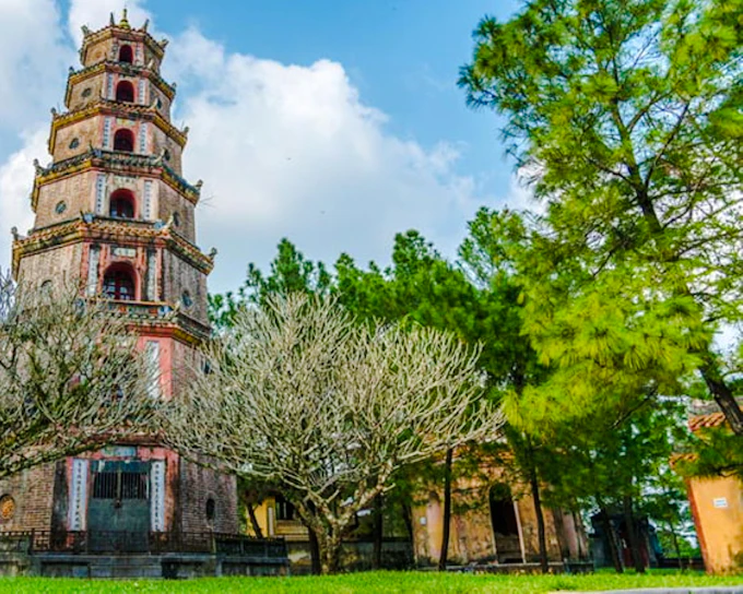 From Da Nang: Hue Private Day Trip to Imperial Citadel & Royal Tombs with Driver and Tickets