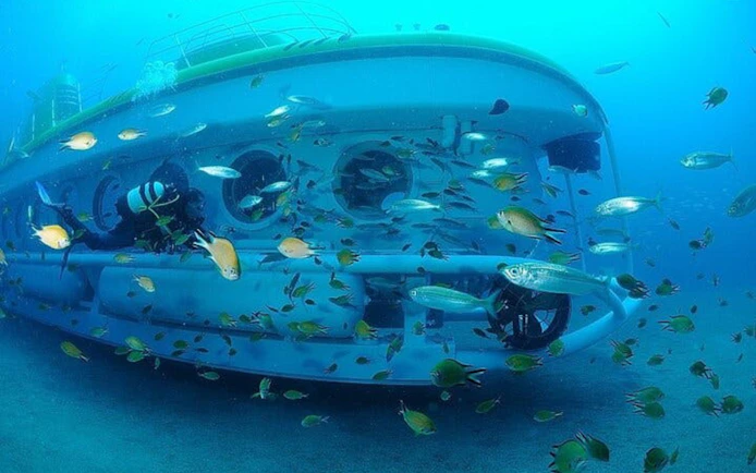 Submarine surrounded by fish during Tenerife underwater tour.