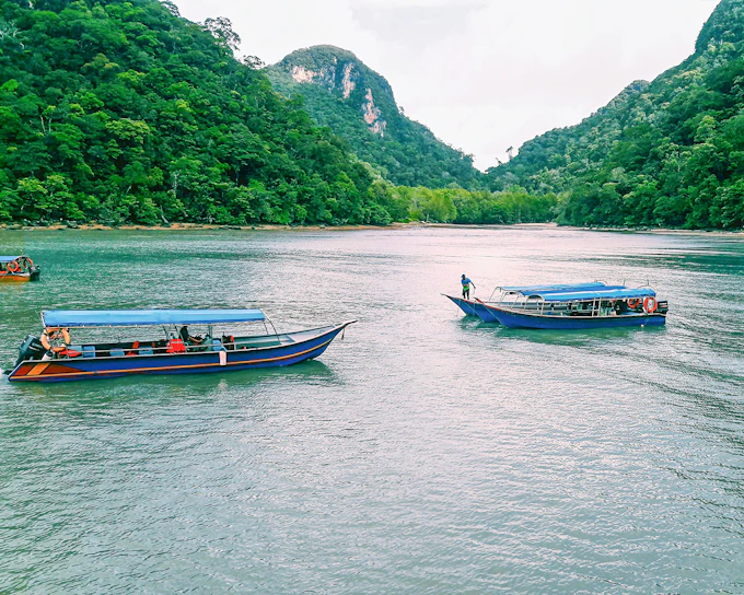 Langkawi Mangrove Tour