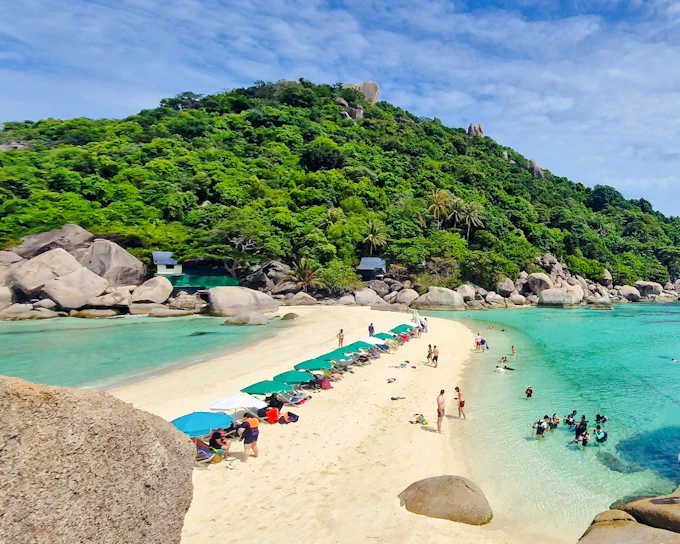 From Koh Samui: Koh Tao & Koh Nang Yuan Speedboat Tour with Snorkeling and Lunch