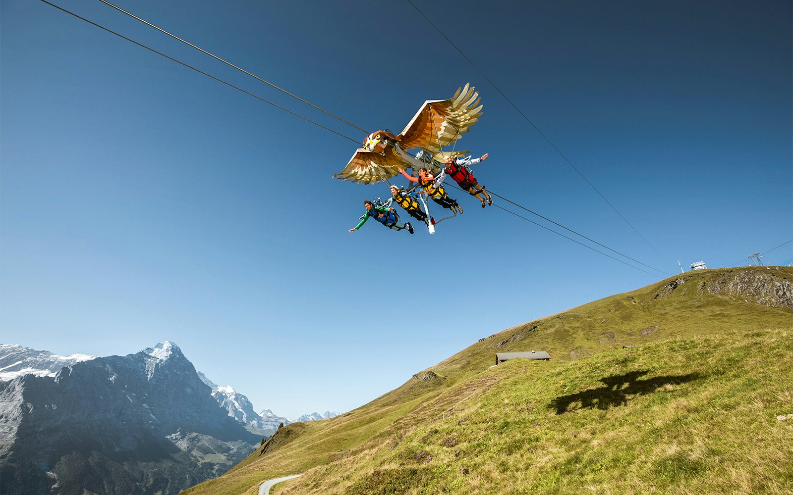 First glider experience over Grindelwald's scenic landscape with snow-capped mountains.