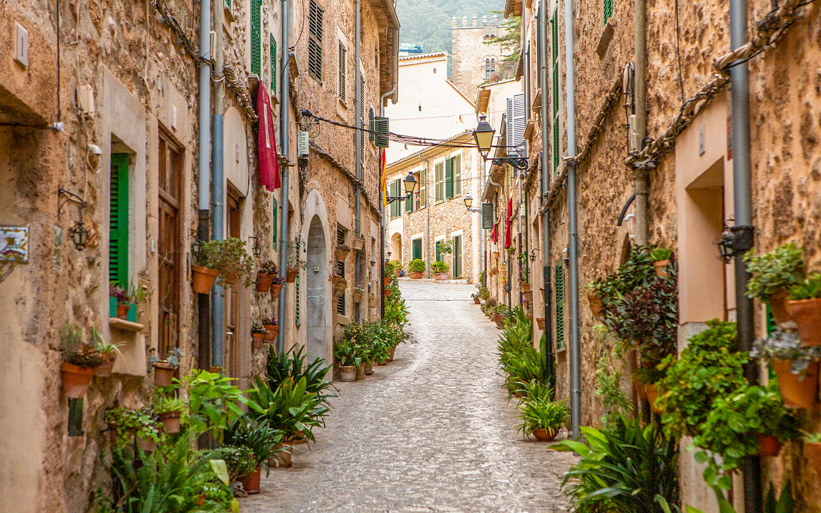 Narrow cobblestone street lined with potted plants in Palma de Mallorca.