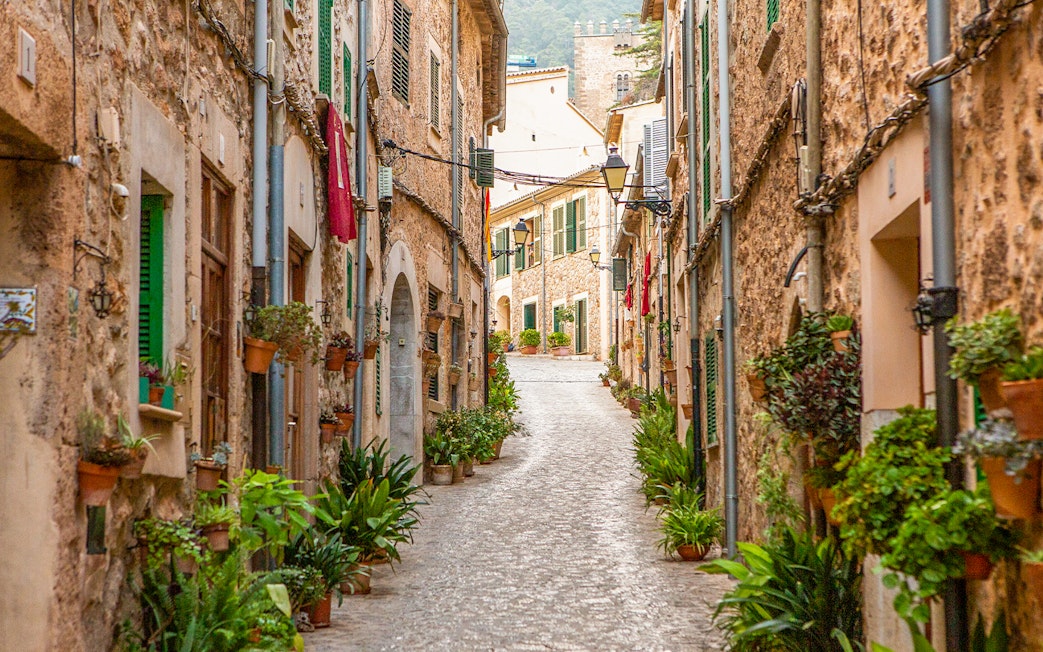 Narrow cobblestone street lined with potted plants in Palma de Mallorca.