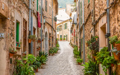Narrow cobblestone street lined with potted plants in Palma de Mallorca.
