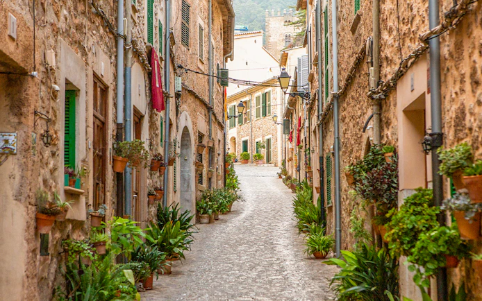Narrow cobblestone street lined with potted plants in Palma de Mallorca.