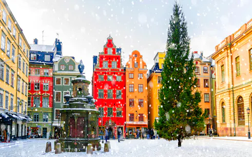 privétour door gamla stan in stockholm met rondvaart naar djurgården-1
