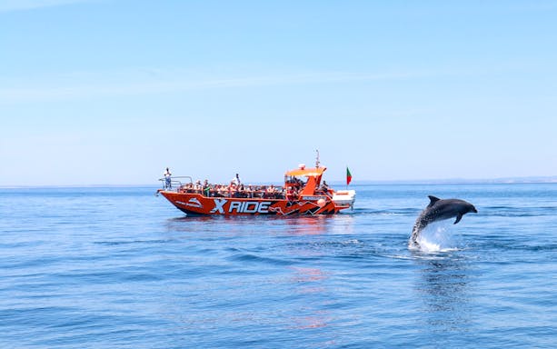Tour boat near Albufeira with dolphin leaping from the water.