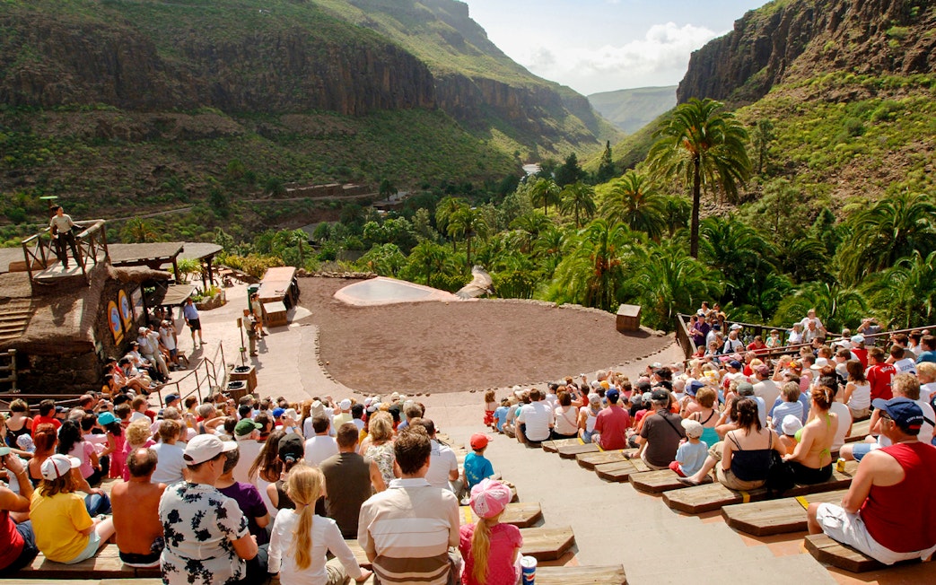 Tourists seated in an amphitheater watching an animal show at Palmitos Park, Gran Canaria.