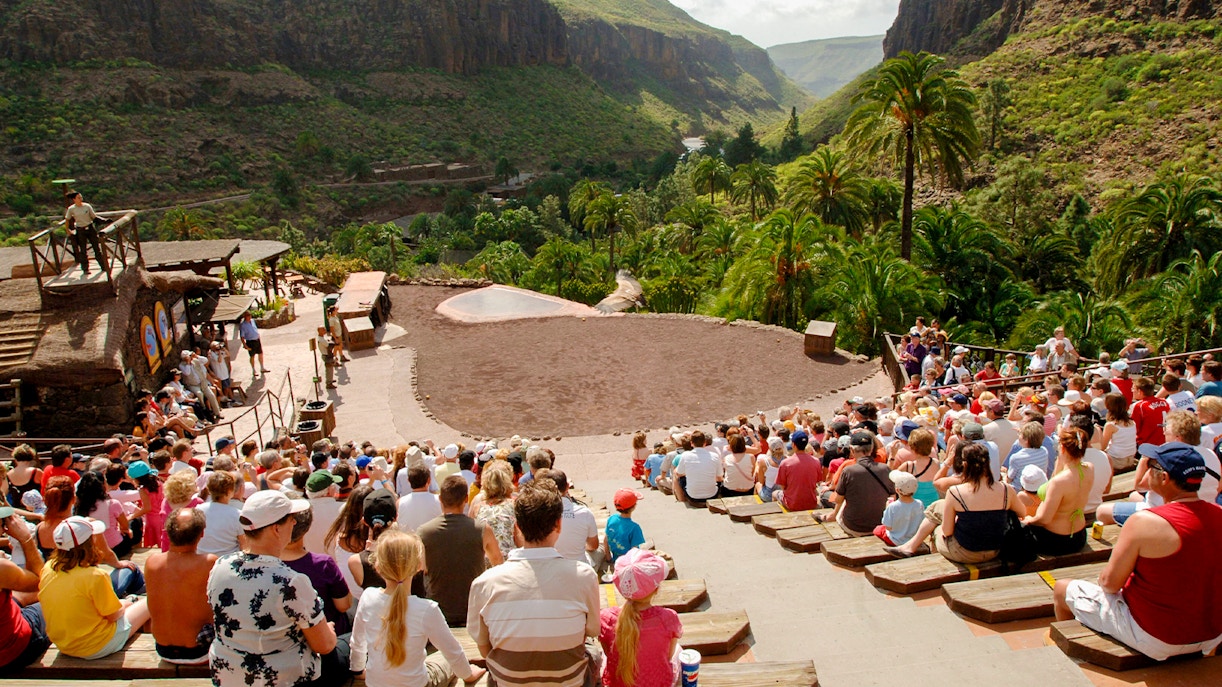 Tourists seated in an amphitheater watching an animal show at Palmitos Park, Gran Canaria.