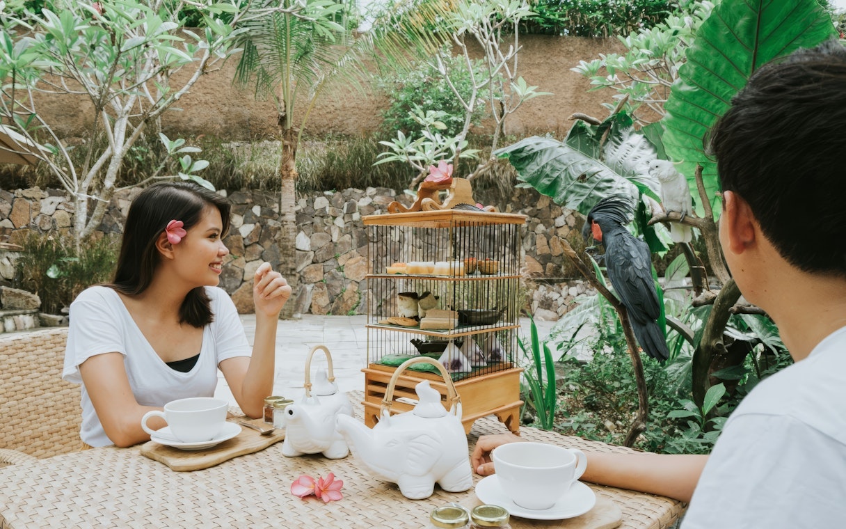 Lunch setting at Lombok Wildlife Park with bird interaction.