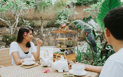 Lunch setting at Lombok Wildlife Park with bird interaction.