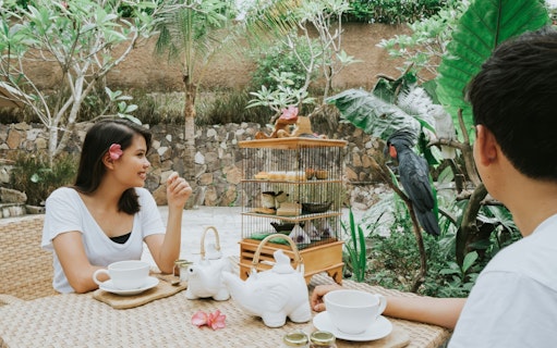 Lunch setting at Lombok Wildlife Park with bird interaction.
