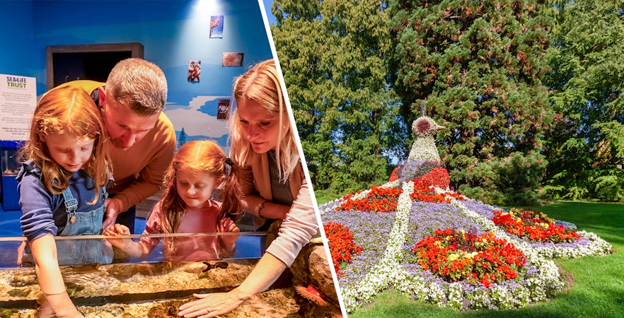 Family exploring aquarium touch tank and vibrant flower peacock display at Mainau Flower Island.