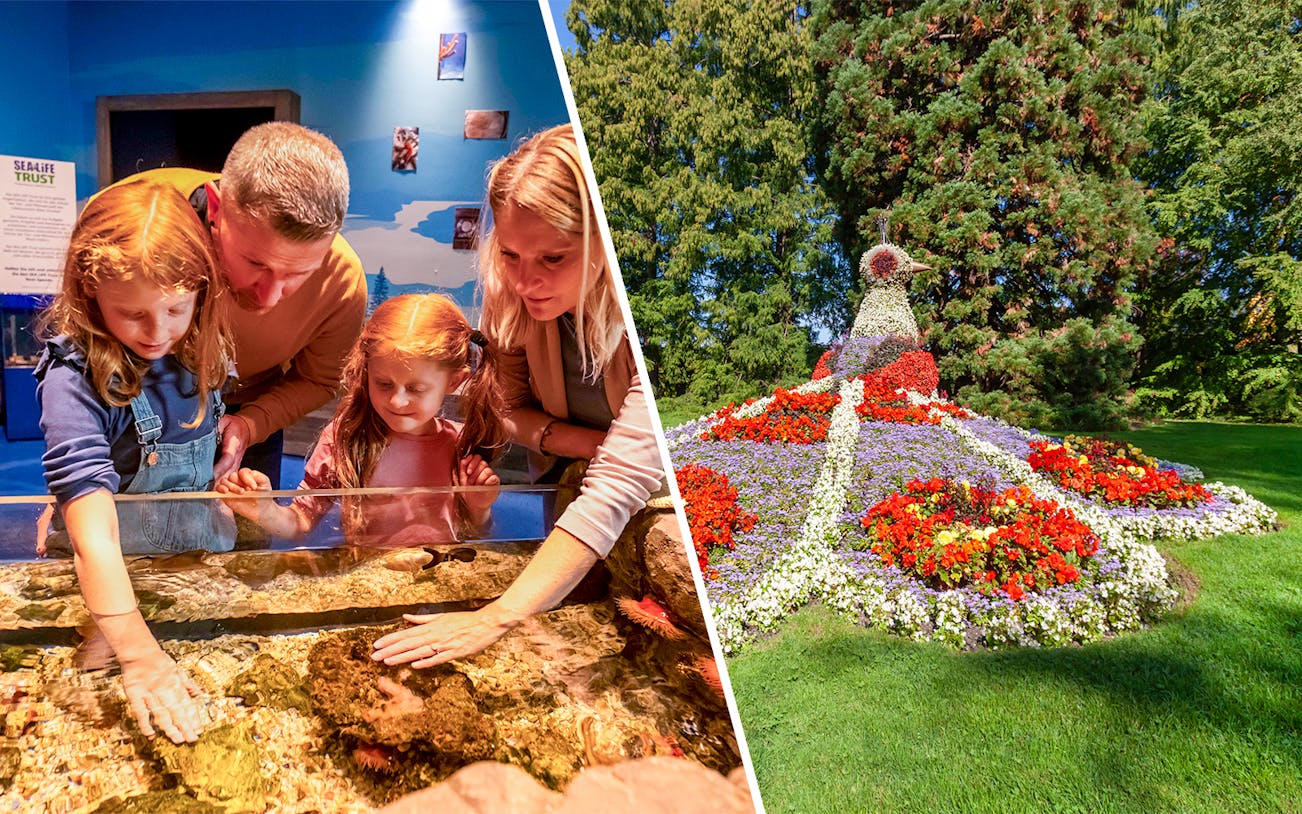 Family exploring aquarium touch tank and vibrant flower peacock display at Mainau Flower Island.