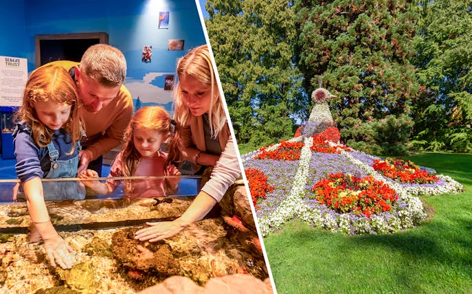 Family exploring aquarium touch tank and vibrant flower peacock display at Mainau Flower Island.