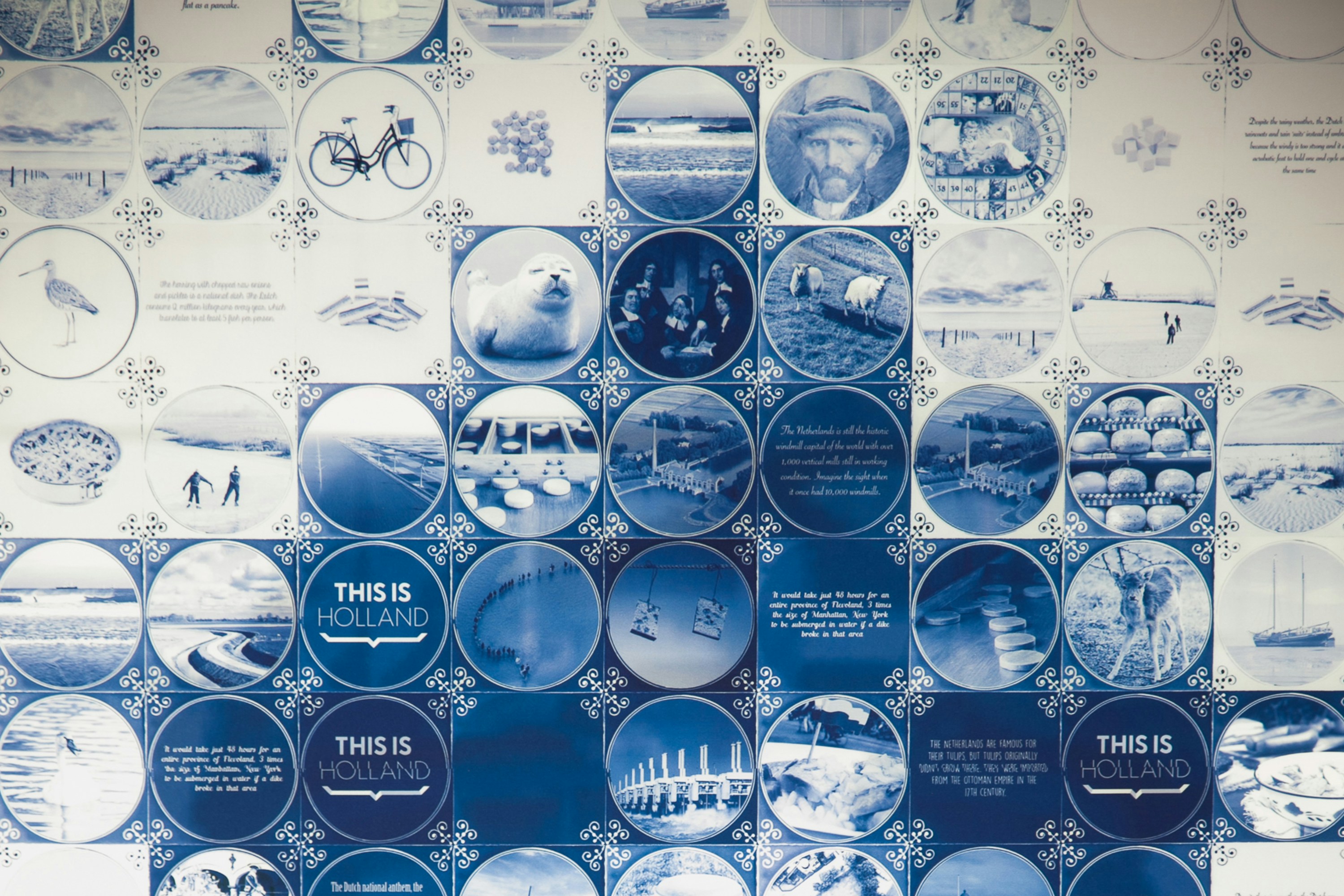 Interiors of This is Holland featuring blue and white circular images depicting Dutch culture and landscapes.