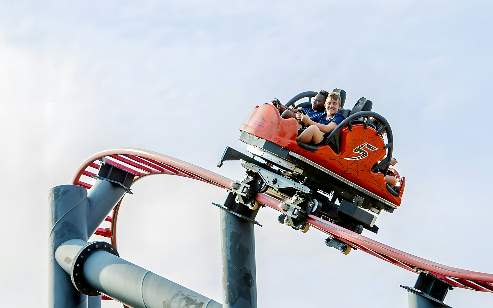 Tarántula Parque De Atracciones