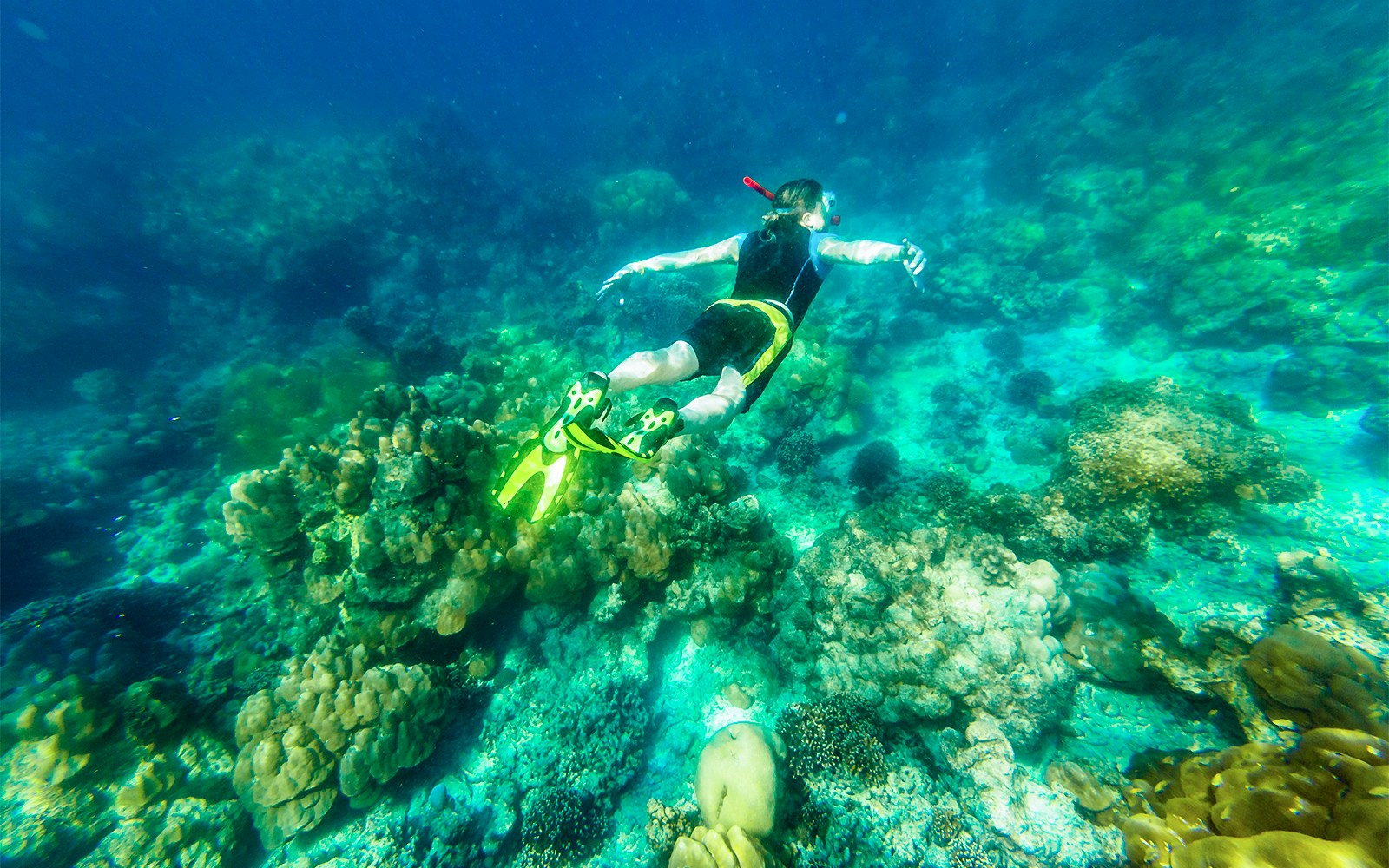 Snorkeler exploring vibrant coral reef in Maya Bay, Thailand.