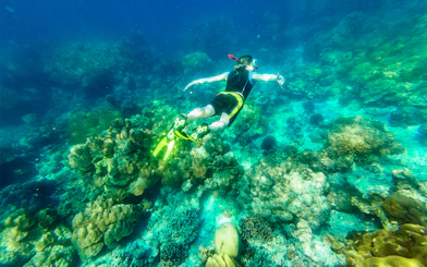 Snorkeler in diving suit exploring coral reef in Maya Bay, Thailand.