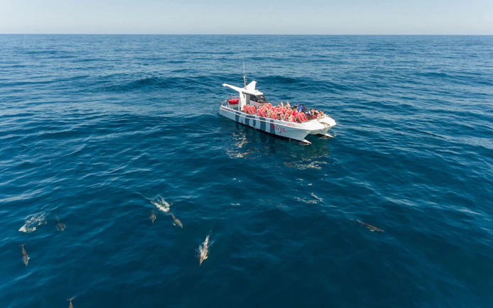 Catamaran with tourists watching dolphins near Albufeira on Benagil Cave cruise.