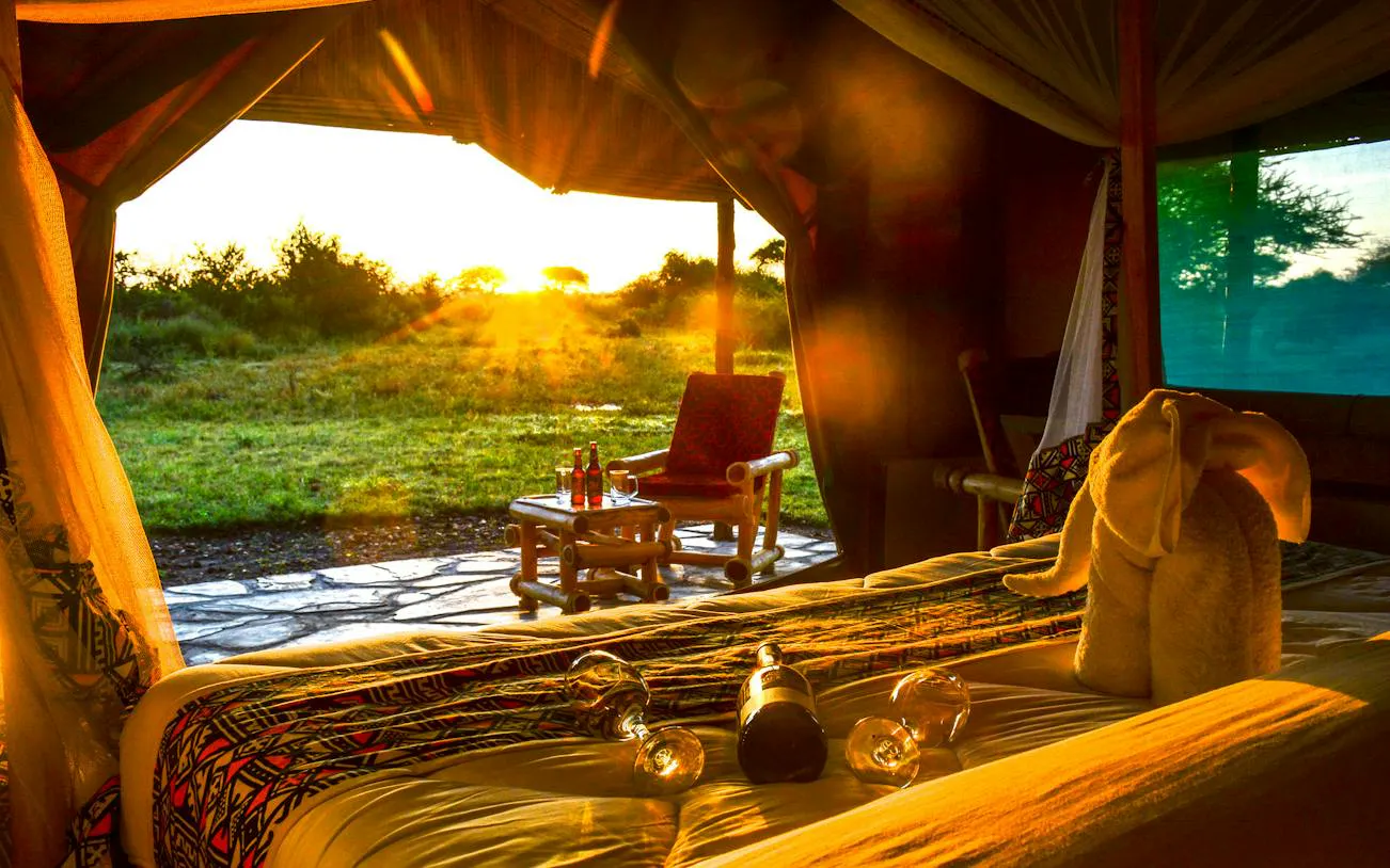 From Zanzibar: Serengeti National Park 2-Day Fly-In Safari with Night Game Drive