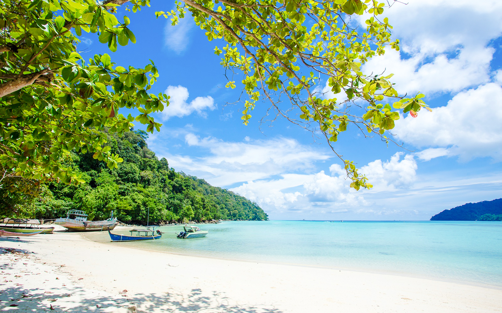 Boats on white sand beach with clear blue water in Surin Islands.