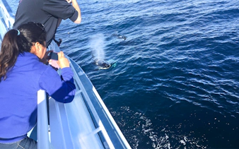Tourists photographing a whale surfacing near a boat on a Los Angeles whale watching tour.
